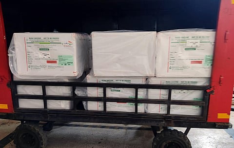 Photo of 30 boxes of COVID-19 vaccines that reached Raipur Airport from Mumbai (ANI)