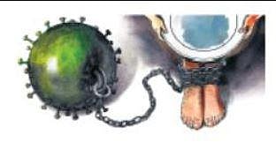 Funeral turns super spreader among tribal people in Wayanad