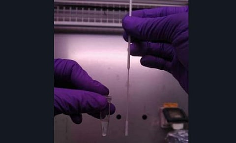 The dry swab RT-PCR test does not show variance from standard testing method. (Photo | PIB)