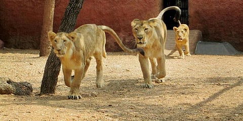 For representational purposes