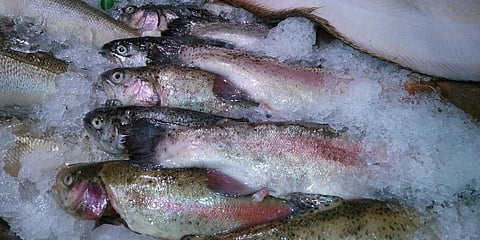 Representational image