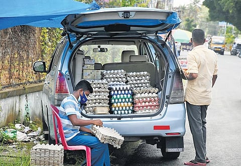 A taxi driver, who had to take to wayside vending as the travel industry faced an unprecedented crisis due to lockdown, arranging egg trays in his vehicle in Kochi