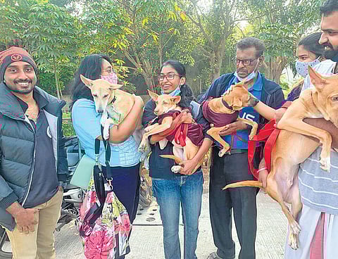 Pet parents at a reunion a few months after adopting Indies