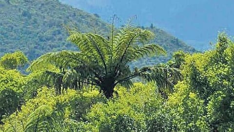 Image used for representational purpose