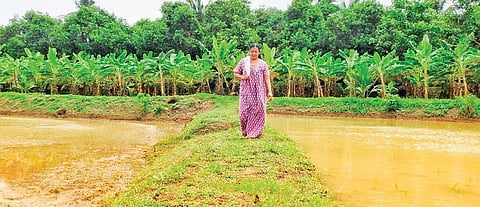 Bhuvaneswari Amma at her farm in Kolayakode in Elapully panchayat