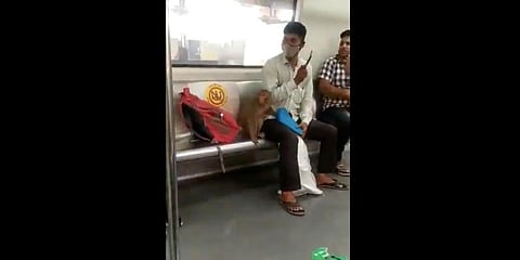 A monkey sits in a Delhi metro coach (Videograb)