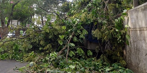 For representational purposes (Photo | EPS)