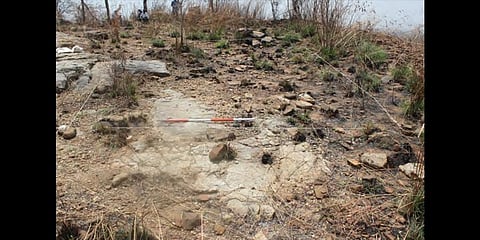 General view of the Varatanapalli hilltop showing artefacts distribution. (Photo | Special Arrangement)