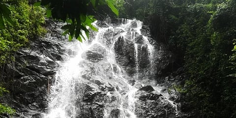 The little known cascade near Yellapur of Uttara Kannada district. (Photo | Dabguli Guru)