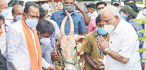 Now, a war room in Karnataka for animal welfare