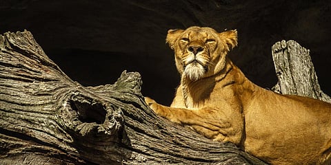 Representational image