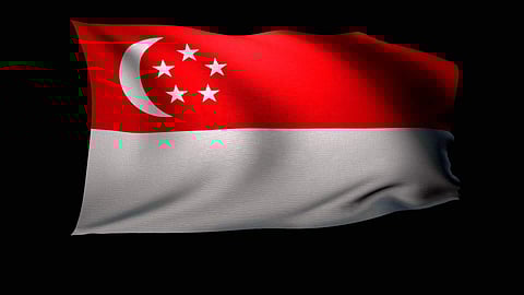 Singapore Flag (Photo | Youtube screengrab)