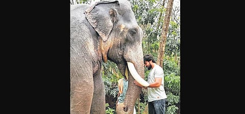  Arav at the shooting spot of Raja Bheema