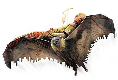 Study lists global hotspots for new coronavirus strains