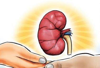 37-year-old Bengaluru man’s kidney and liver save two people