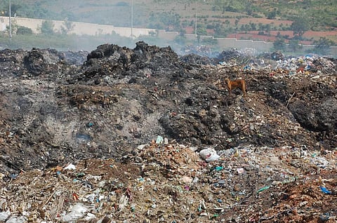 A single commercially available non-organic sanitary pad takes up to 250-800 years to decompose or may even never decompose at all. (Photo | EPS)