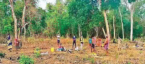 Tribals who isolated themselves in the forests near Yatnaram in Mahamutharam mandal, on Thursday