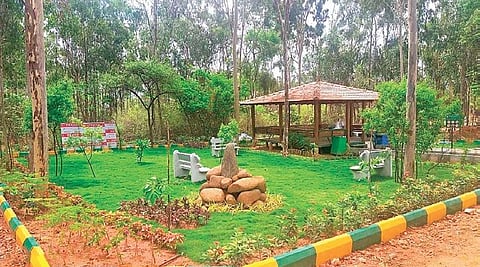 DCM DK Shivakumar SAID THAT After discussions with the Forest department, they will develop urban parks and establish ‘Tree Parks’ across Bengaluru in seven spots on forest department lands.