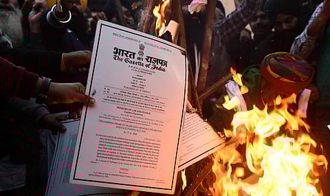 Farmers burnt copies of the Centre's three farm laws near residences of BJP leaders and at other places in Punjab . (Photo| Parveen Negi, EPS)