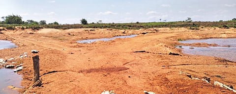 Affected farmer Ranjan Patra who lost 2 acre land due to excess sand lifting in Badasahi, Eroded land in Arapata. (Photo | Express)