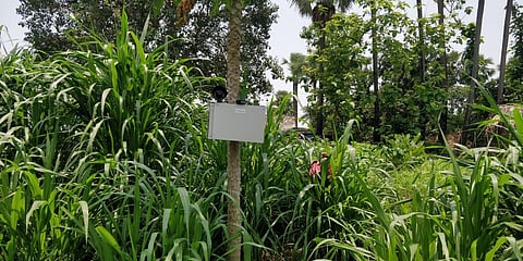 The device has proved helpful in preventing the intrusion of stray animals including blue bulls (Photo | Special arrangement)