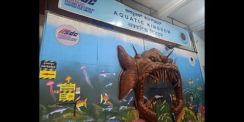 India’s first tunnel aquarium opens at KSR railway station