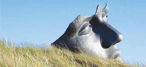 For representational purposes