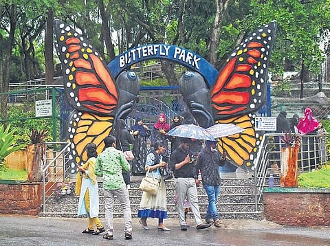 Visitors at the Nehru Zoological Park after it reopened for the first time after the lockdown was lifted, in Hyderabad on Sunday, July 11, 2021. (Photo | S Senbagapandiyan)
