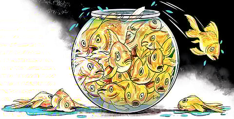 Population control will prove 'disastrous' for Karnataka: Experts