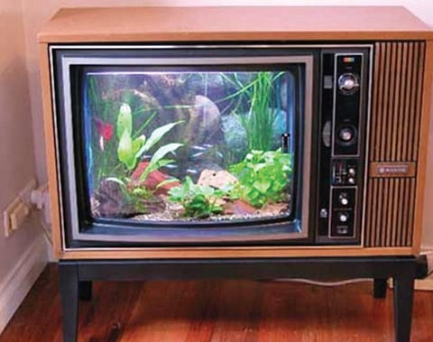 Aquarium TV Fish are always nice to look at and you won’t have to worry about turning down the sound!