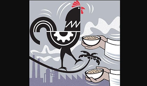 (Illustrations By Durgadatt Pandey)