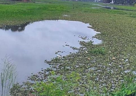 Chottanikkara residents call for revival of Adiyakkalthodu