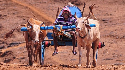 Representational image.