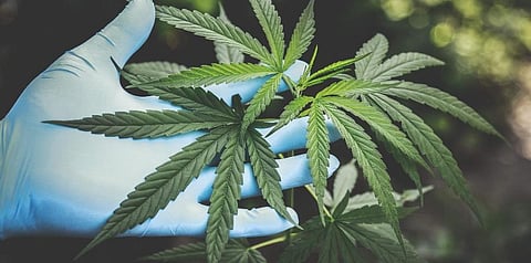 Representational image.