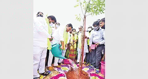 MAUD Minister KT Rama Rao waters a sapling after planting  it during the inauguration of Pedda Amberpet Kalam Urban Forest Park in Hyderabad on Thursday