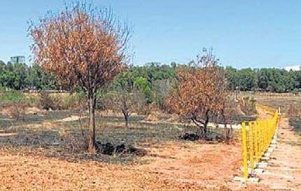 The 5-acre land under dispute which is delaying completion of land acquistion for Bengaluru Metro’s Airport Line
