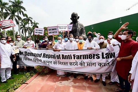 Congress MPs protest in parliament premises. (Photo | Twitter/Rahul Gandhi)