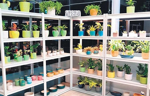 Toward a fresh future