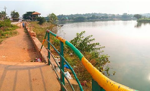 A view of Tolankere Lake in Hubballi  (Photo | EPS/D Hemanth)