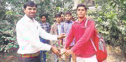 For 18 saplings, this Bihar institute will prep you for public service exams
