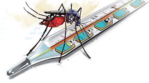 Japanese Encephalitis resurfaces in city after a decade, first case reported