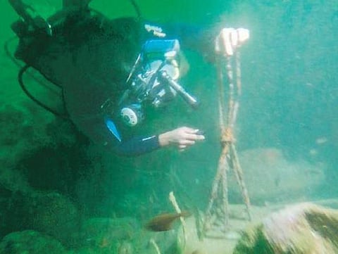 A hydrophone being installed under sea