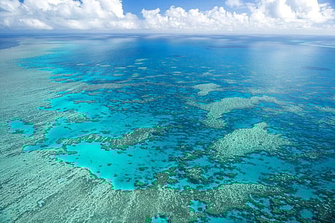 Hook Reef, in the Whitsunday region, is viewed from the air off the coast of Australia. (Photo | AP)