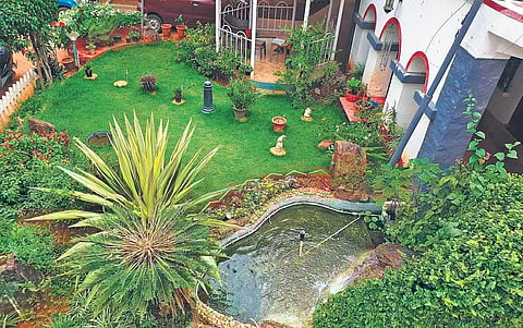 The garden of Dolores Arulappan, the winner of garderning contest under the senior citizen category
