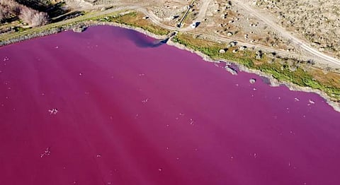 Aerial view of a lagoon that turned pink due to a chemical used to help shrimp conservation in fishing factories near Trelew (Photo | AFP)
