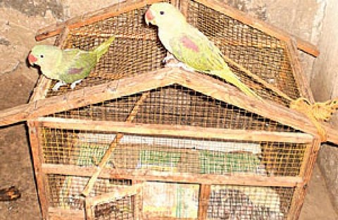 Image for representation