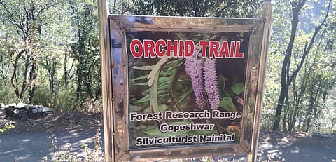 Orchid trail at the newly-inaugurated conservation centre in Chamoli district. (Photo | Express)