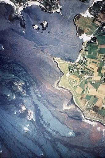 Amoco Cadiz oil spill:  On the morning of March 16, 1978, a very large crude carrier, loaded with 69 million gallons of crude oil, succumbed to the rough winds and waters of the English channel and ran aground on the rocky French coast. The hull and container tanks of the Amoco Cadiz were punctured in the impact, and the oil leaked into the water, polluting about 321 km of the French coast with an oil slick. It is estimated that millions of invertebrates, including molluscs and crustaceans, as well as around 20,000 birds, were killed in this environmental disaster. (Photo | AFP)