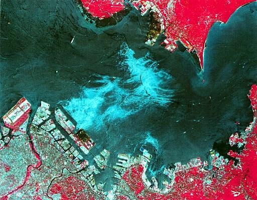 Tokyo Bay oil spill: The 14,000 kilo litre crude oil spillage on Tokyo Bay in July 1997 is considered to be one of Japan's worst oil spills. The spillage from the tanker Diamond Grace near the Yokohama port created a 66.5-sq km oil slick and was declared a national disaster. Public warnings were issued when the winds started pushing the highly volatile oil slick towards downtown Tokyo. (Photo | AFP)