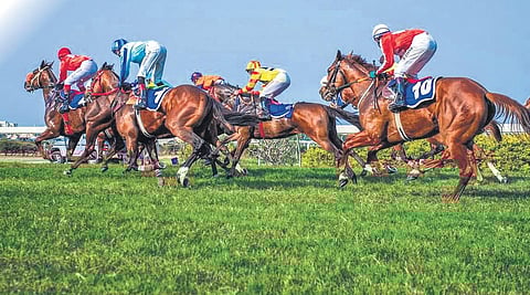 PIC: Mourya Chintalapati, Hyderabad Race Club